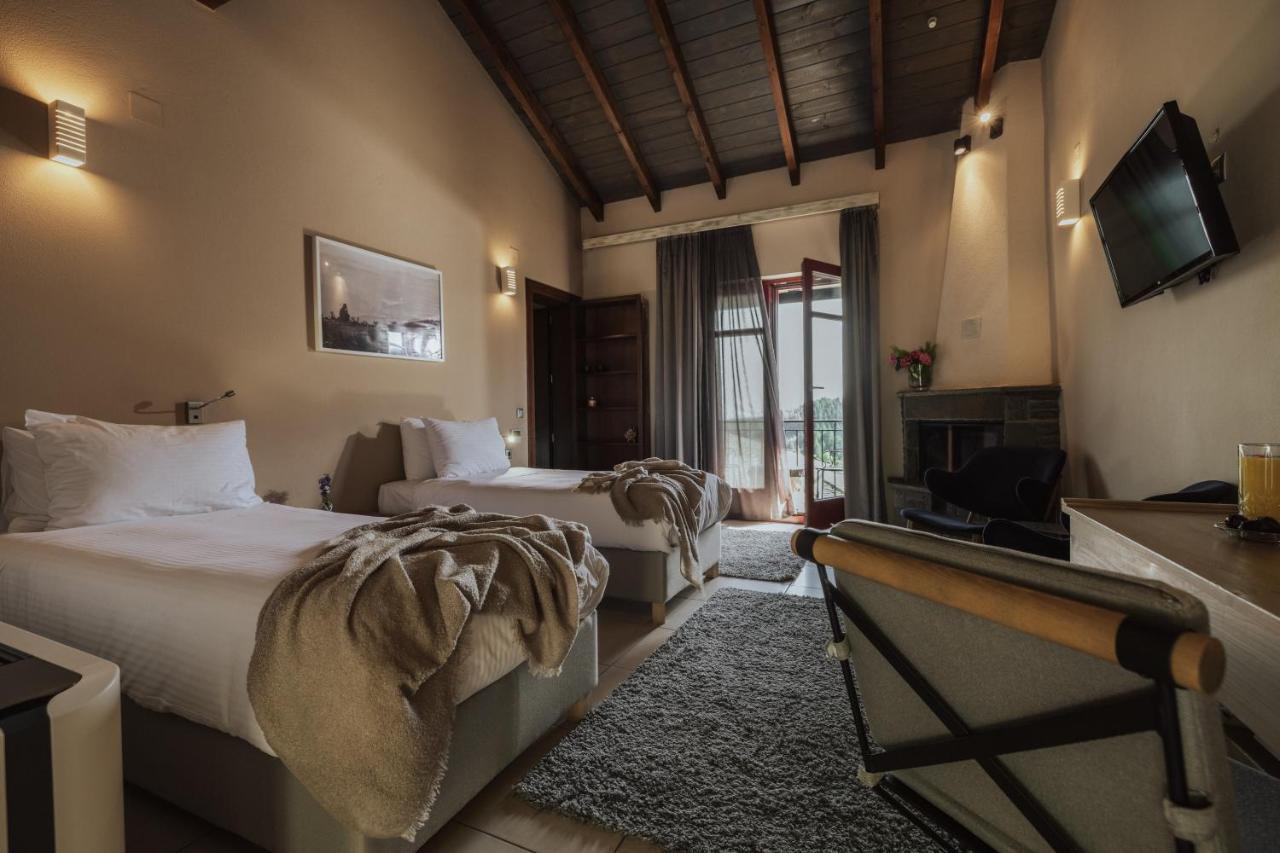 Rouista Tzoumerka Resort Vourgareli 部屋 写真