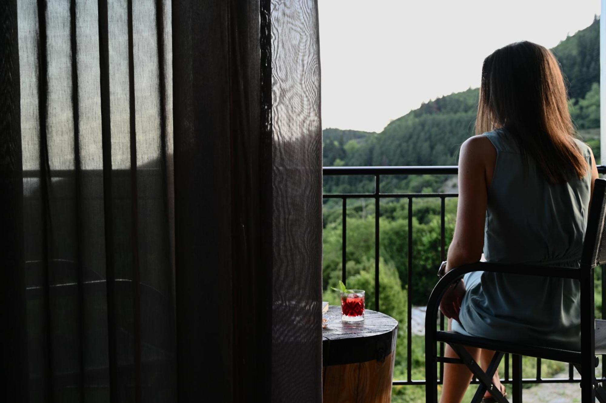 Rouista Tzoumerka Resort Vourgareli 部屋 写真