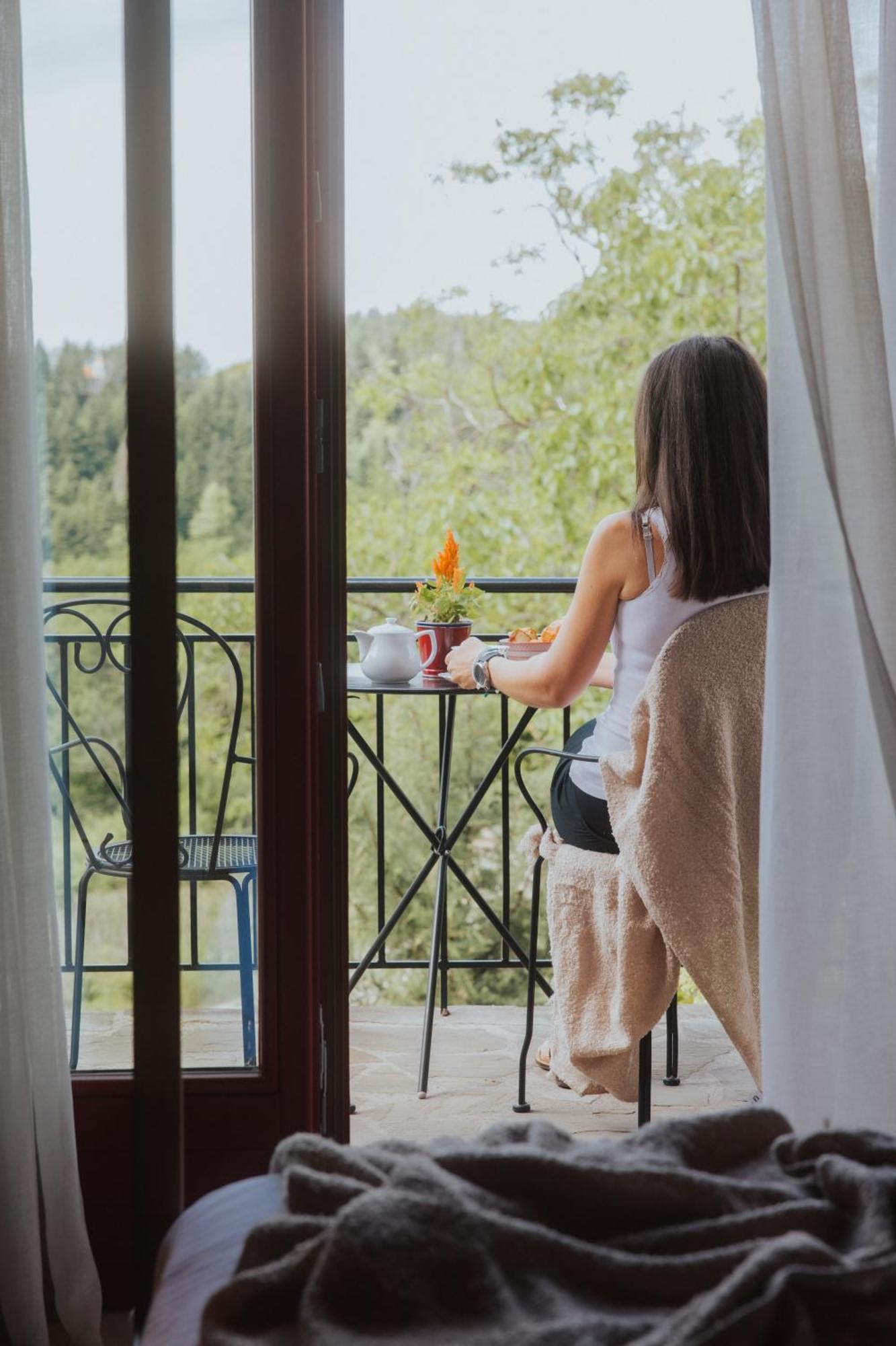 Rouista Tzoumerka Resort Vourgareli 部屋 写真